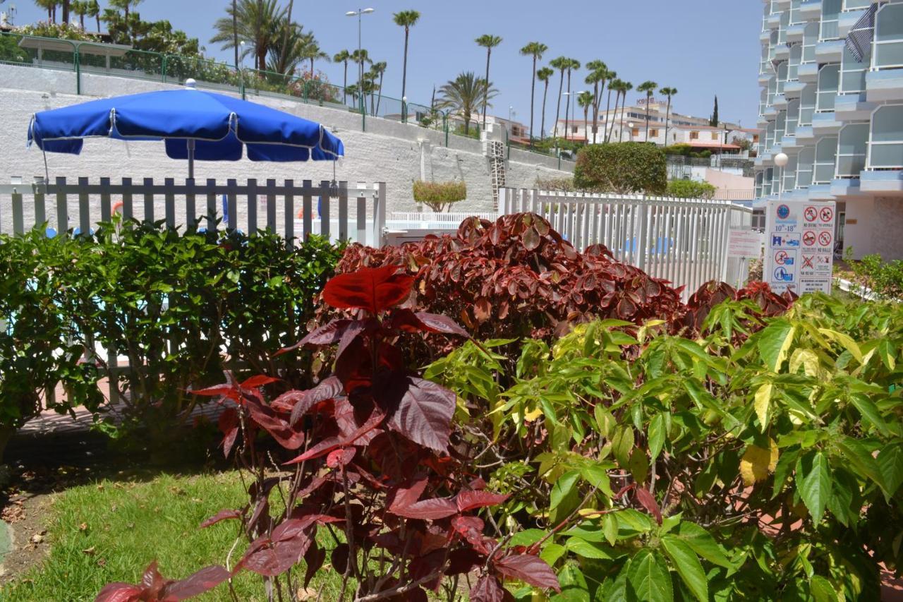 Red Loft Deluxe - Vivienda Vacacional A Playa Del Inglesアパートメント エクステリア 写真