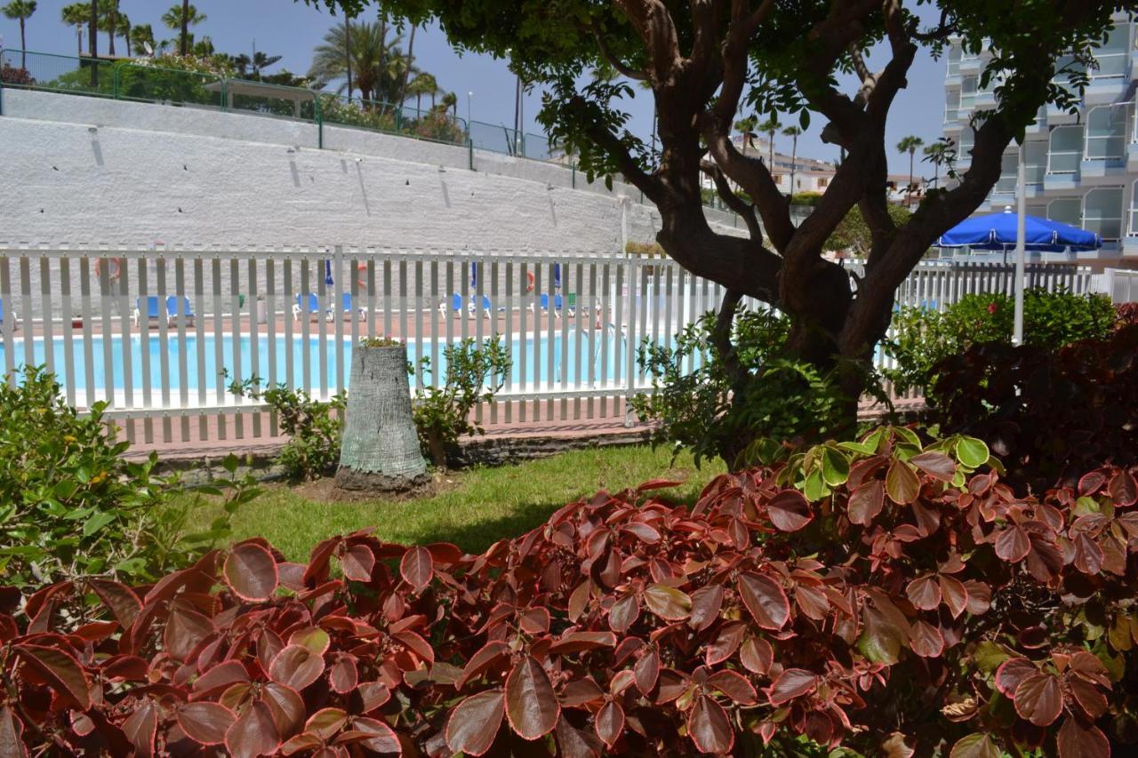 Red Loft Deluxe - Vivienda Vacacional A Playa Del Inglesアパートメント エクステリア 写真